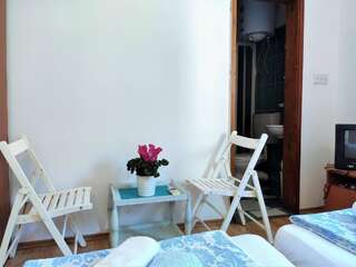 Гостевой дом Rooms and Apartments Rosa Бечичи Бюджетный двухместный номер с 1 кроватью-6