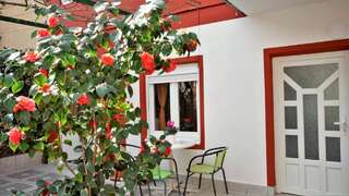 Гостевой дом Rooms and Apartments Rosa Бечичи Номер-студио-1